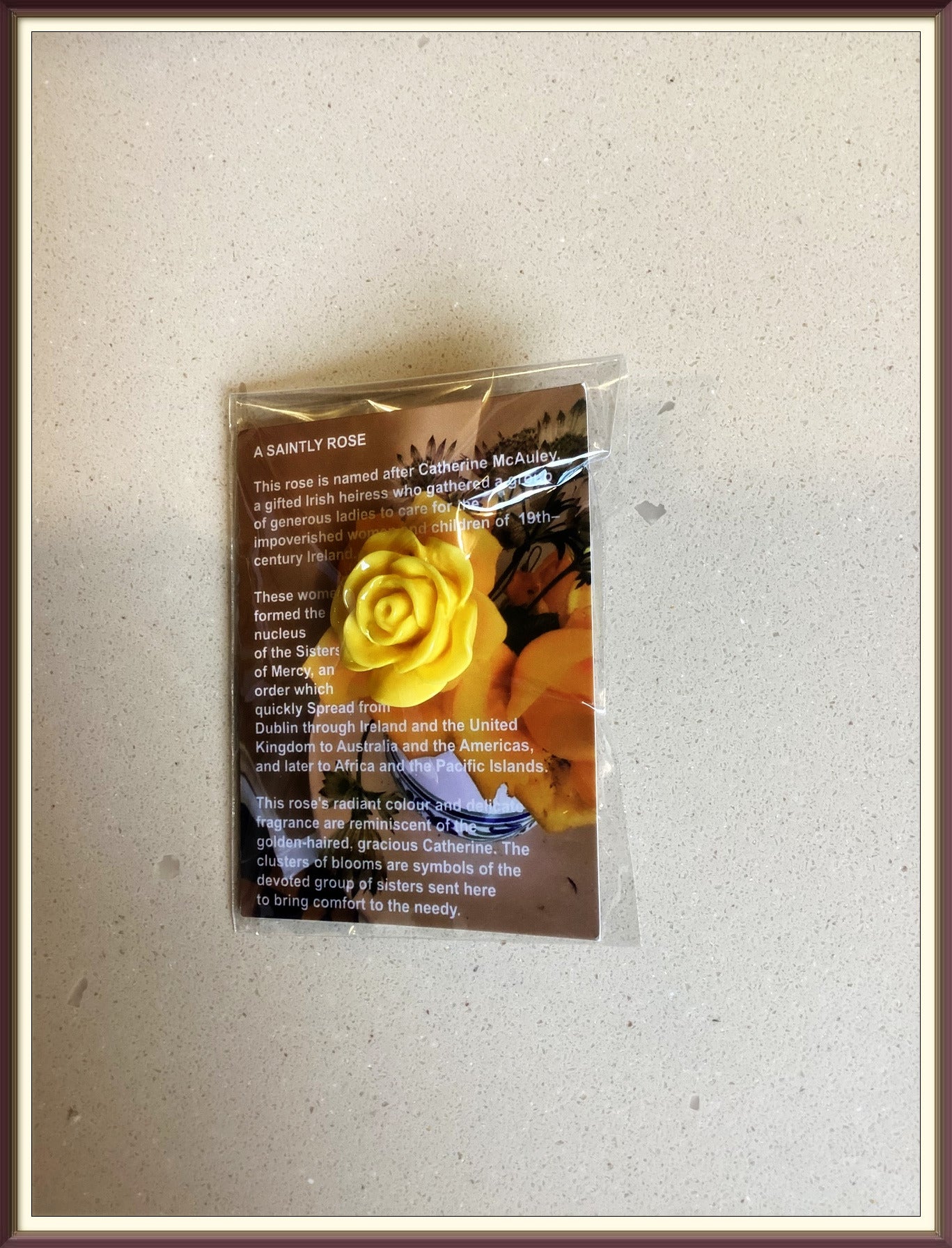 'A Saintly Rose' - Catherine McAuley Rose Pin