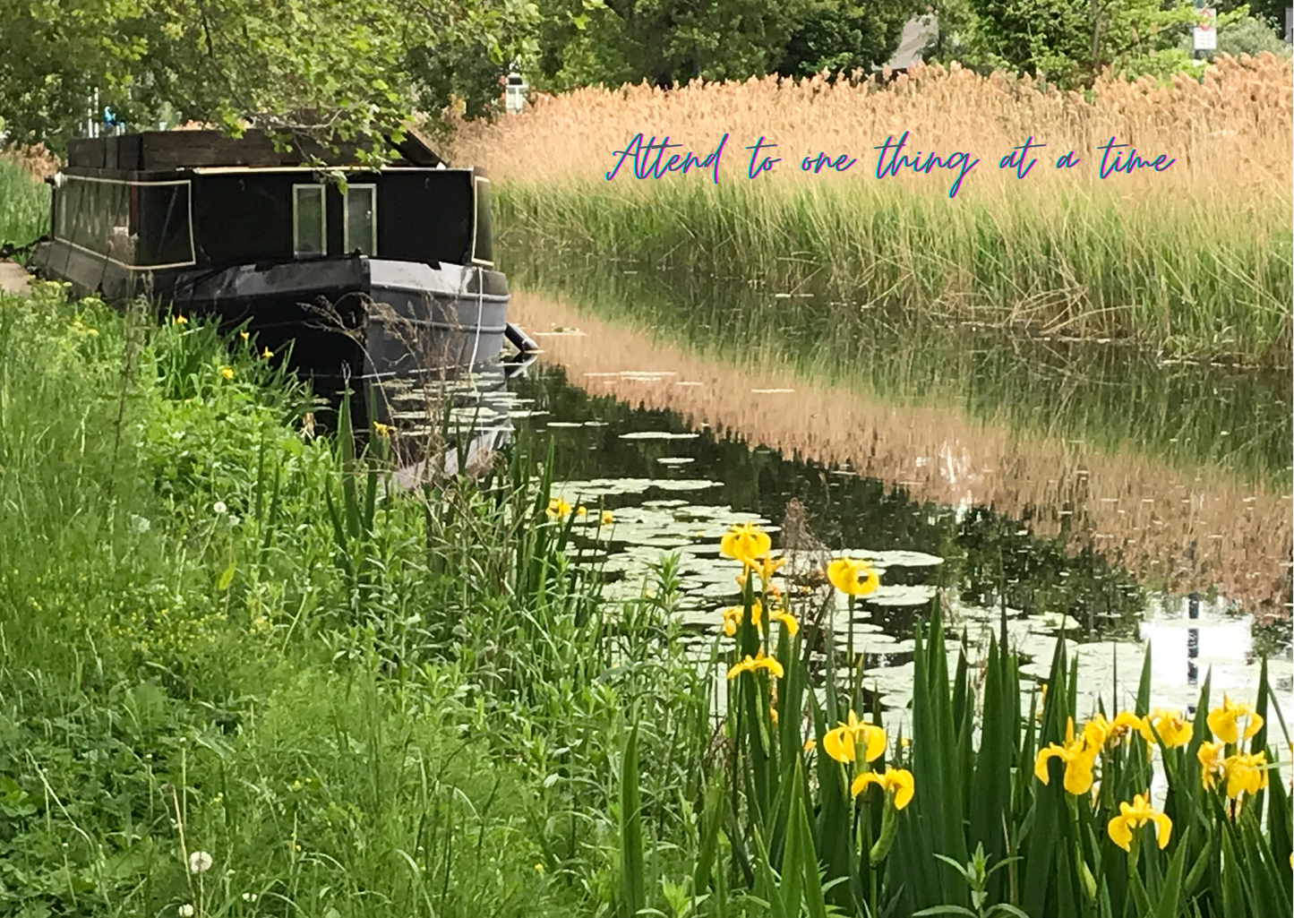 Selection of Mercy International centre Cards for every occasion