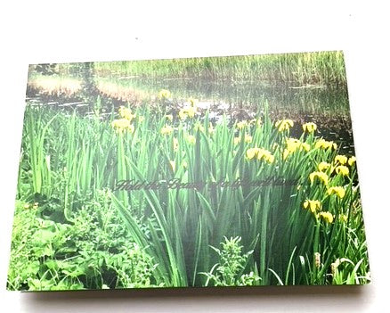 Selection of Mercy International centre Cards for every occasion