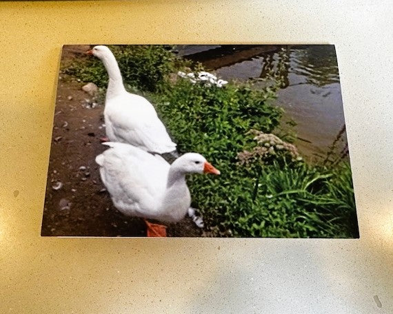 Selection of Mercy International centre Cards for every occasion