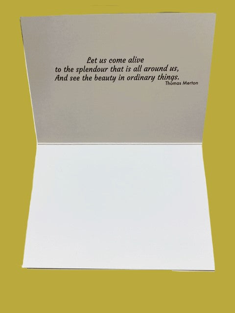 Selection of Mercy International centre Cards for every occasion