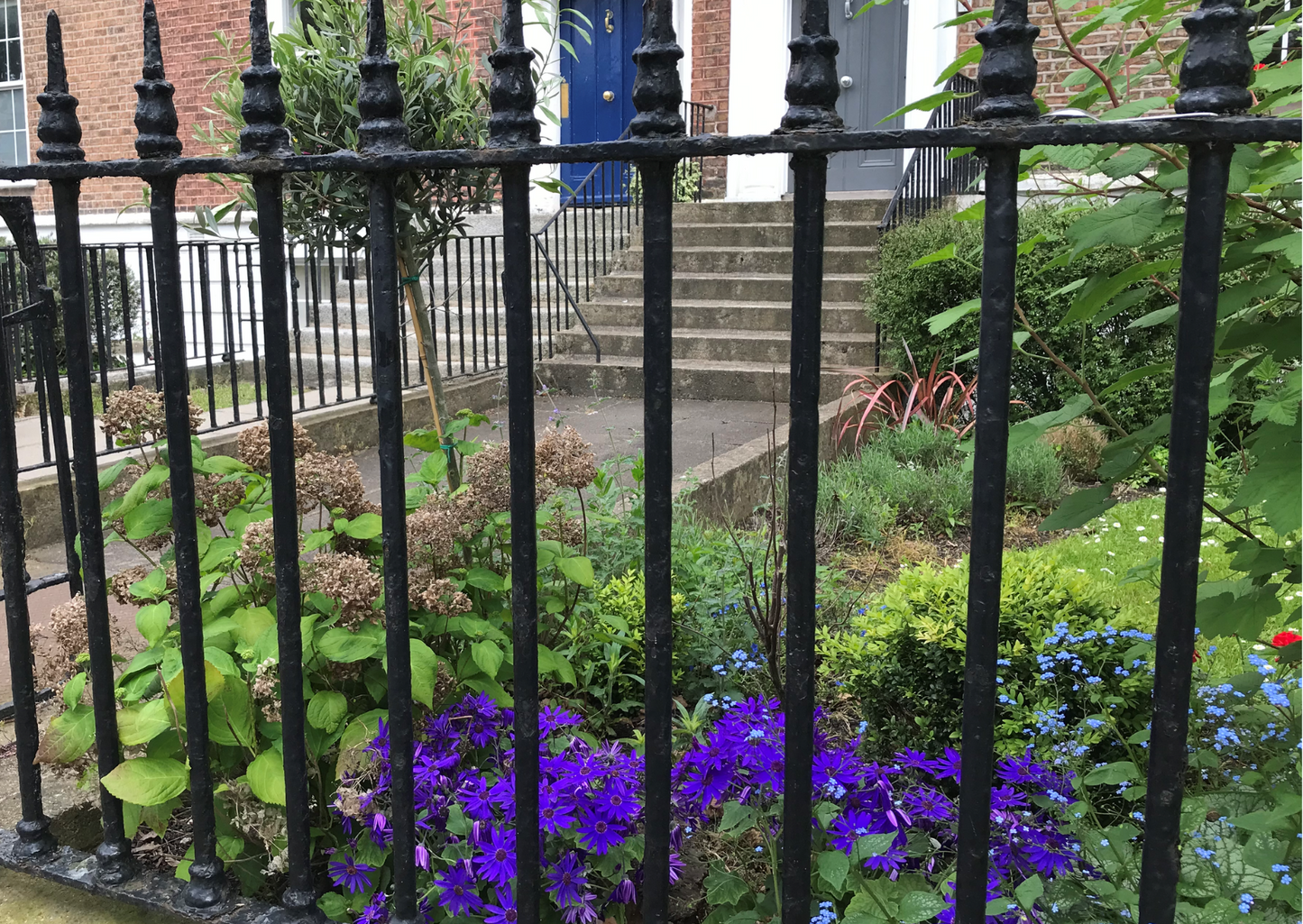 Selection of Mercy International centre Cards for every occasion