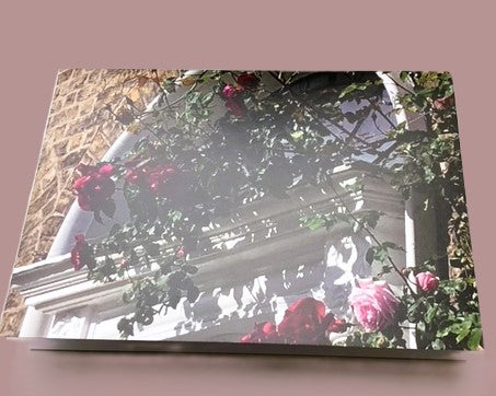 Selection of Mercy International centre Cards for every occasion