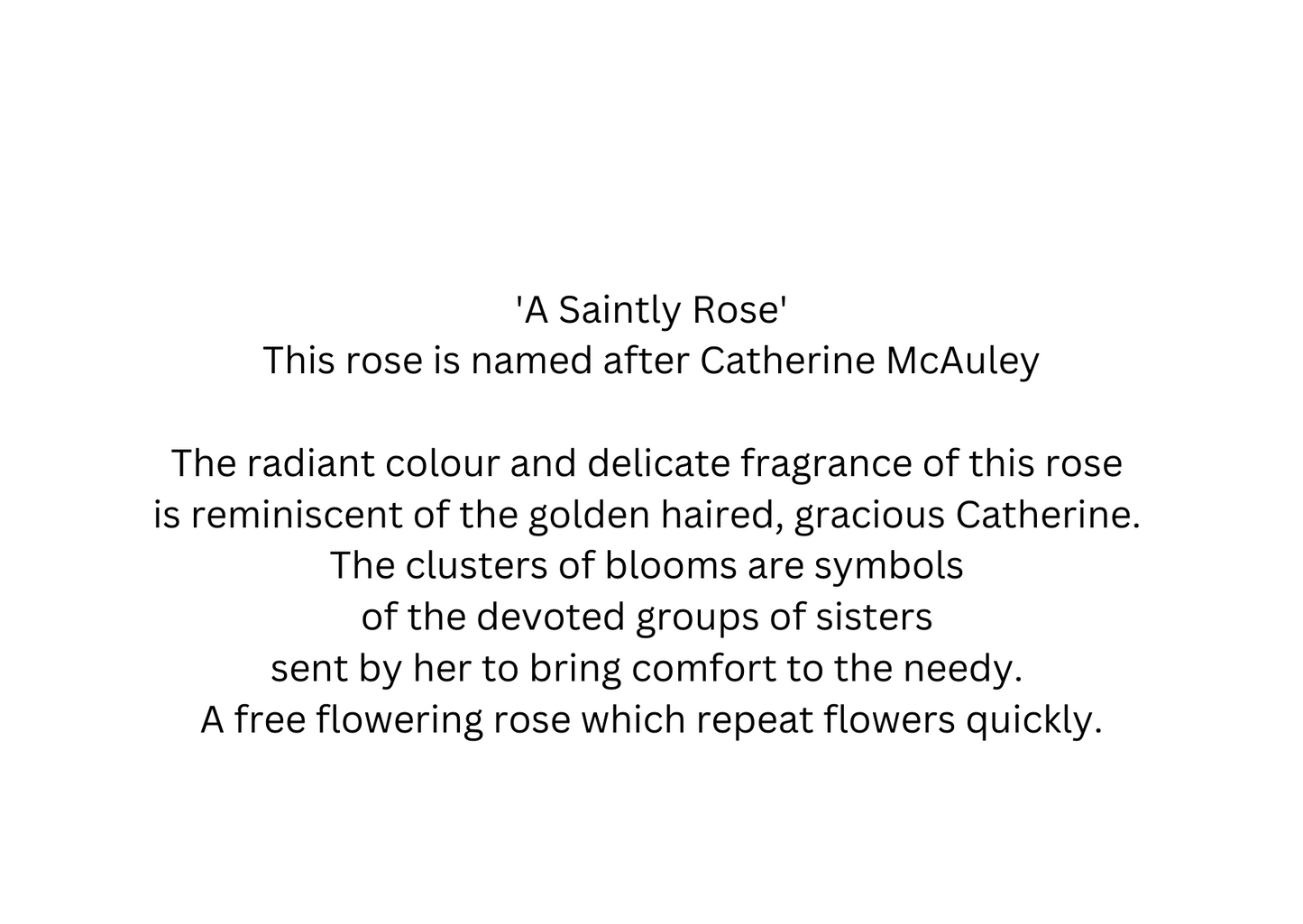 Selection of Mercy International centre Cards for every occasion