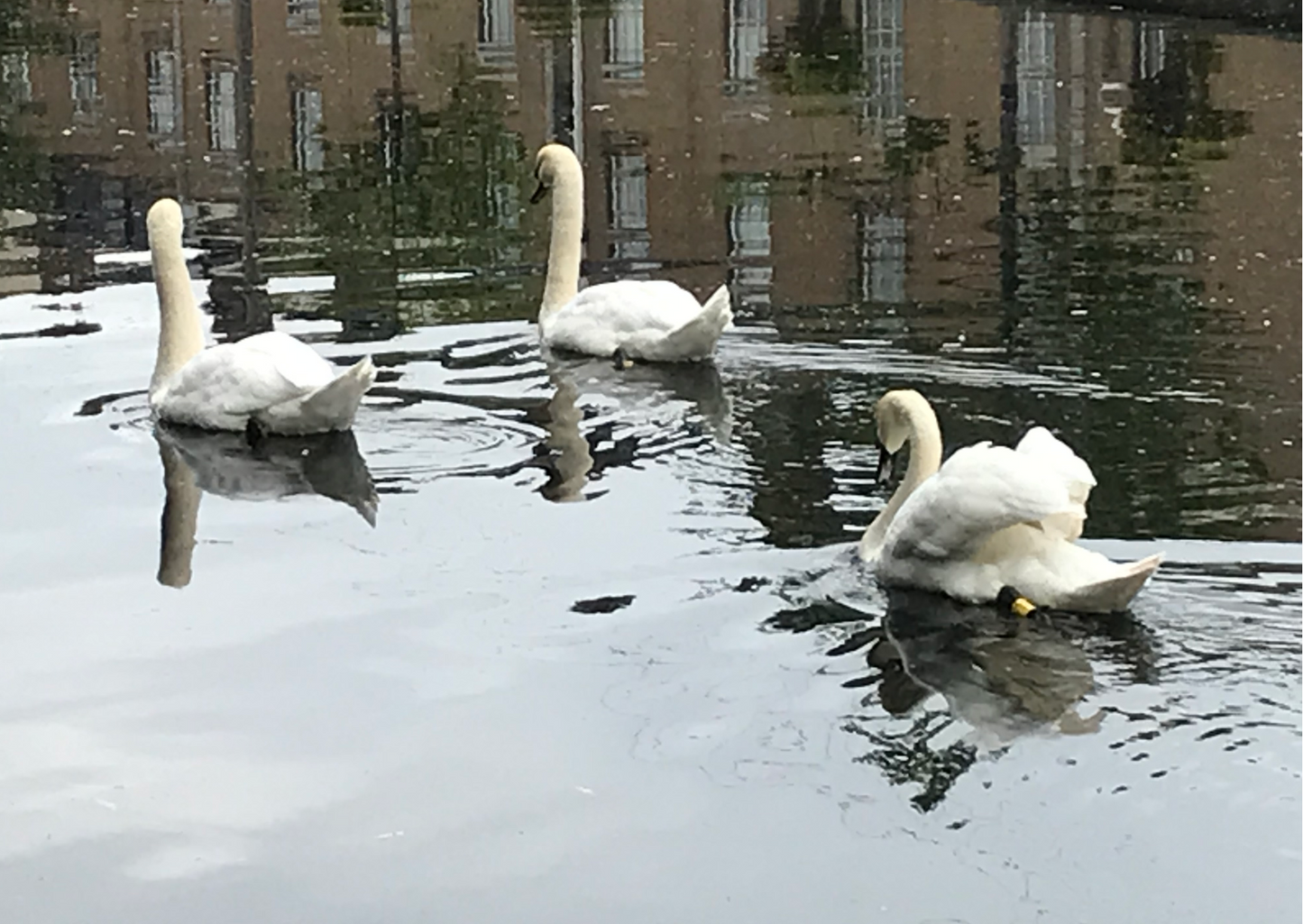 Selection of Mercy International centre Cards for every occasion